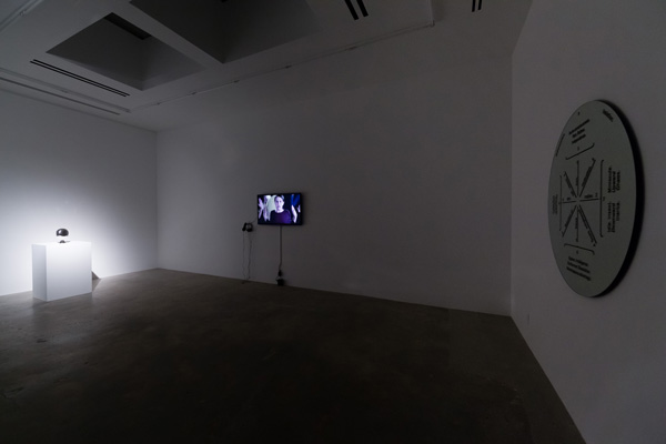 The Thought Leader, Liz Magic Laser, 2015, video installation, 9 minutes, installation view, Various Small Fires, Los Angeles.